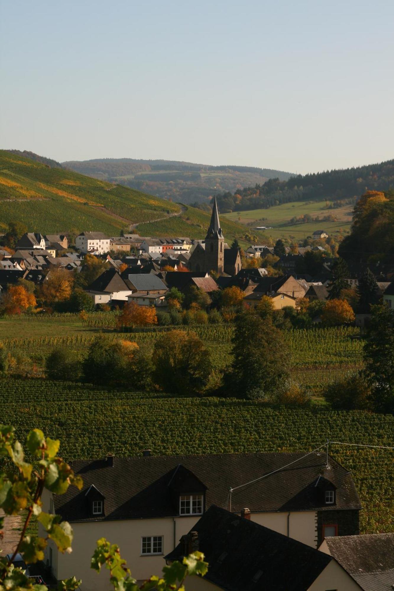 Weingut & Gaestehaus Stephan Kohl Neumagen-Dhron Eksteriør bilde